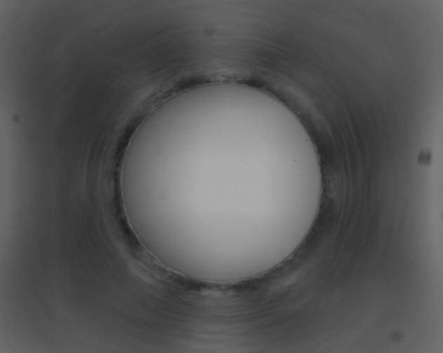 X0000095530690200712140934