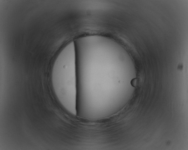 X0000095530691200712140934