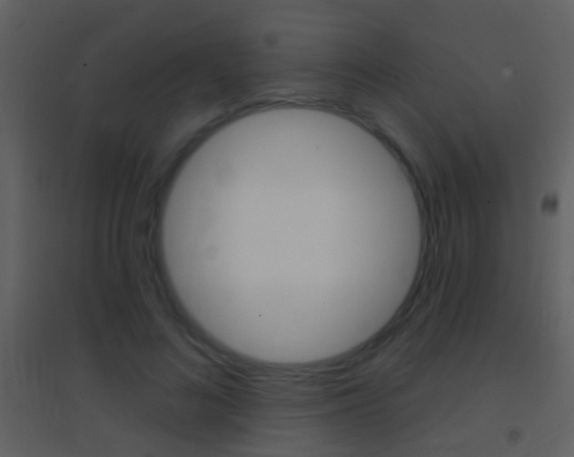 X0000095530692200712140934