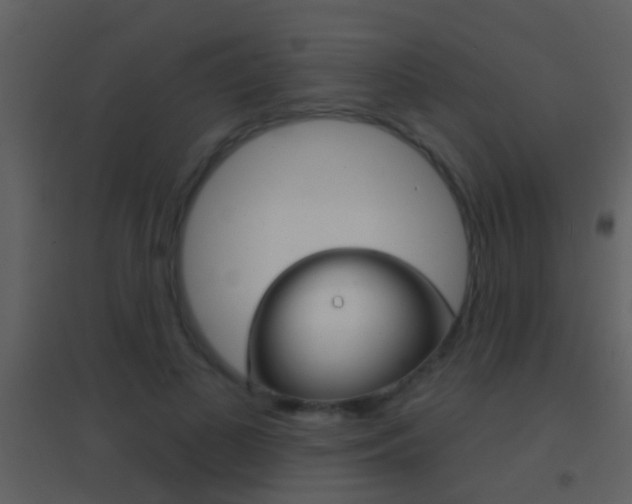 X0000095530693200712140934