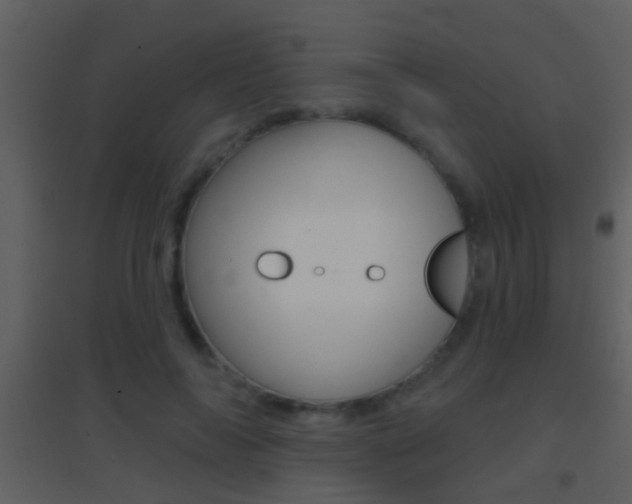 X0000095530694200712140934