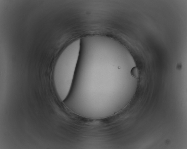 X0000095530695200712140934