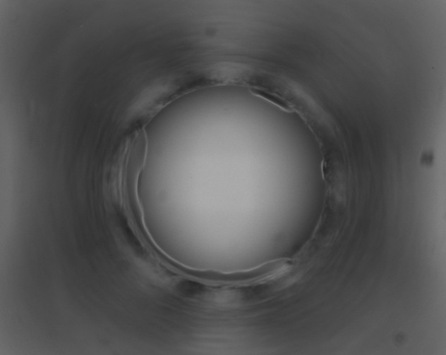 X0000095530696200712140934