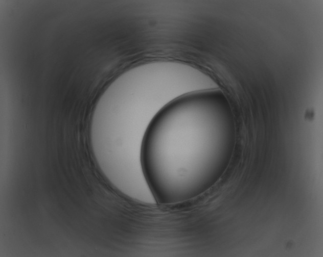 X0000095530697200712140934