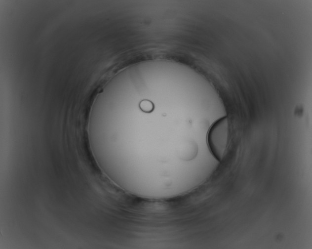 X0000095530698200712140934