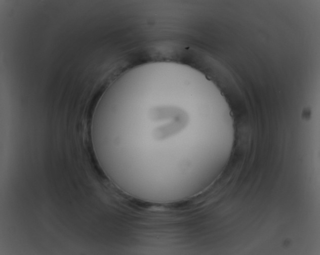 X0000095530699200712140934