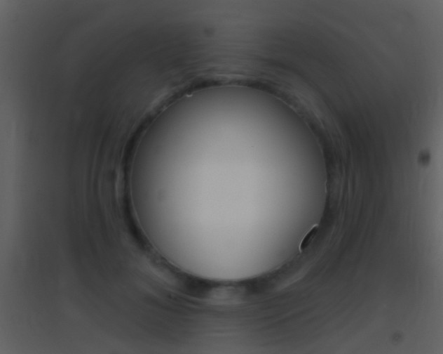 X0000095530700200712140934