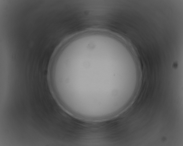 X0000095530701200712140934