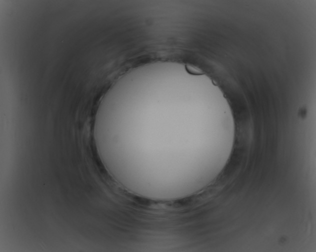 X0000095530703200712140934