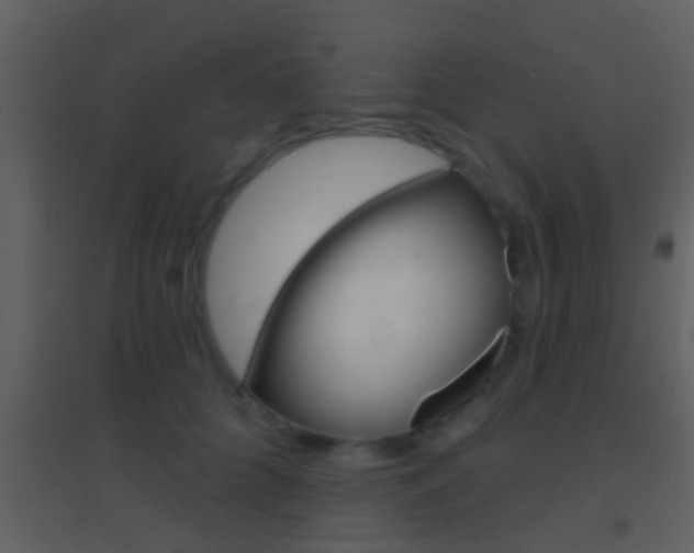 X0000095530704200712140934