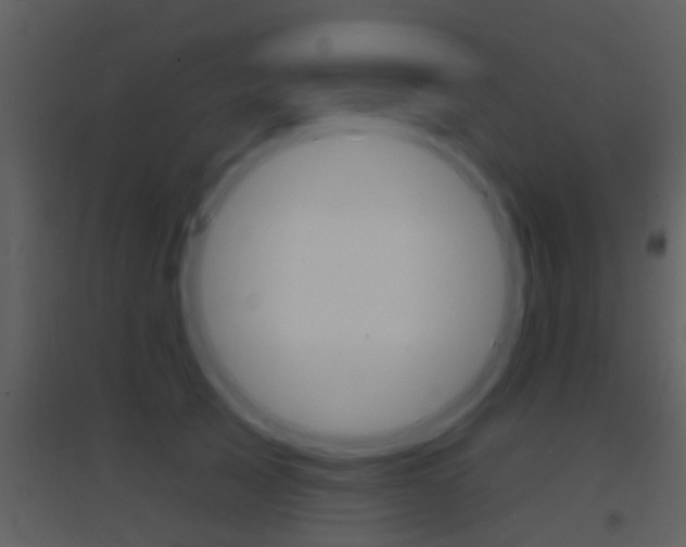 X0000095530705200712140934
