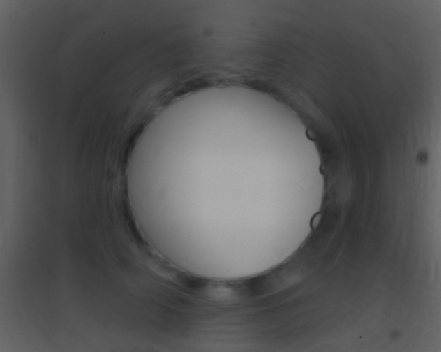 X0000095530706200712140934