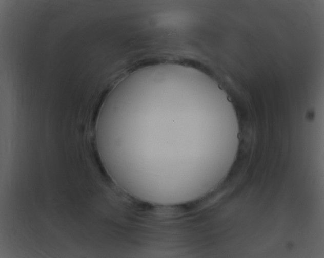 X0000095530707200712140934