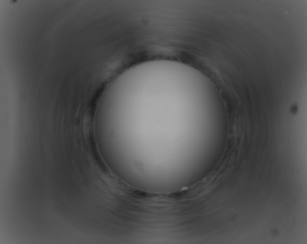 X0000095530708200712140934