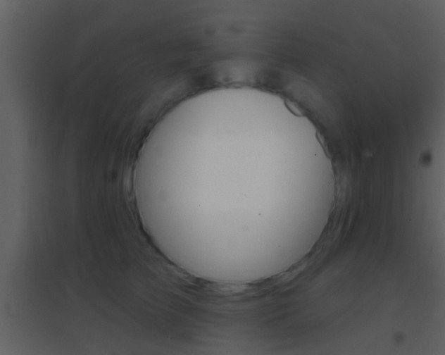 X0000095530709200712140934