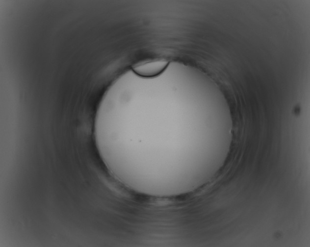 X0000095530710200712140934