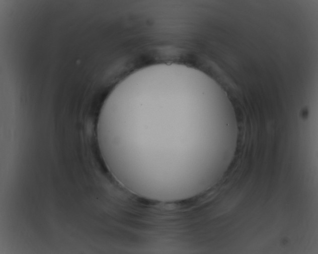 X0000095530711200712140934