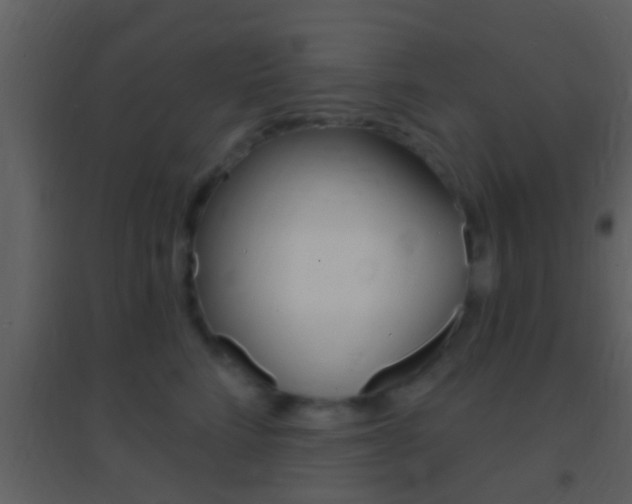 X0000095530712200712140934