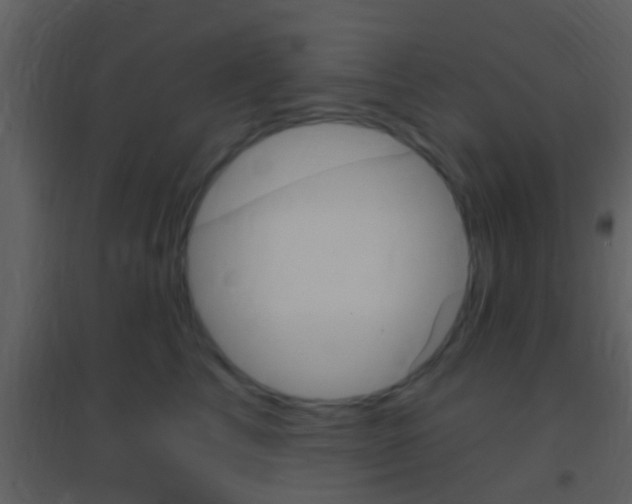 X0000095530713200712140934