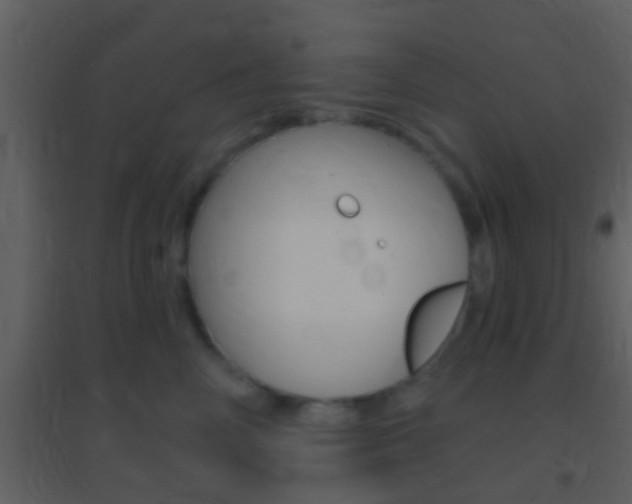 X0000095530714200712140934