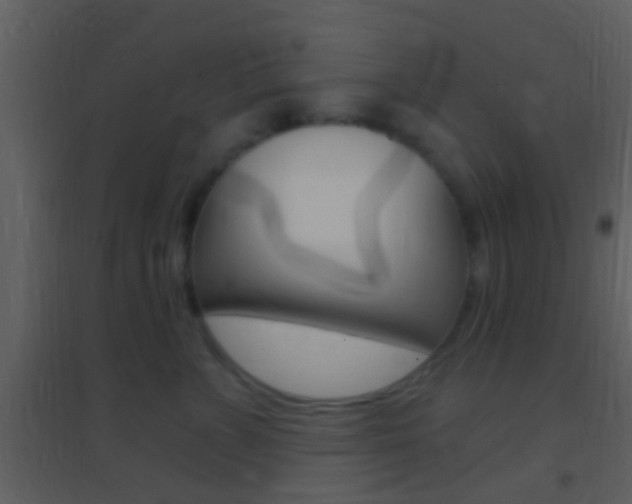 X0000095530715200712140934