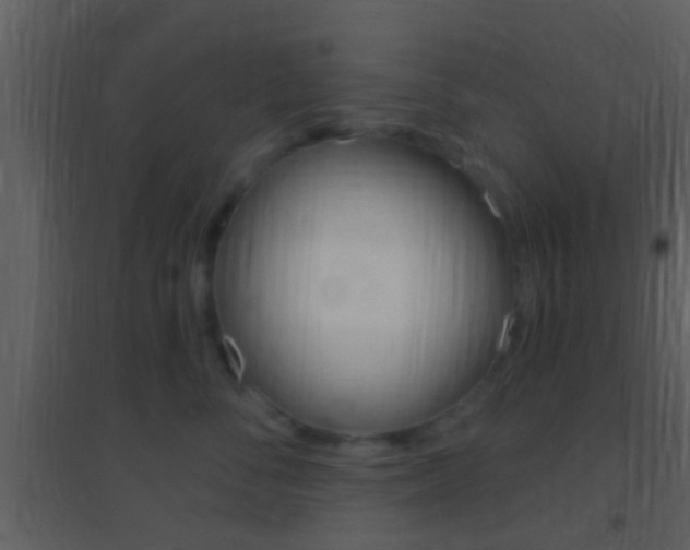 X0000095530716200712140934
