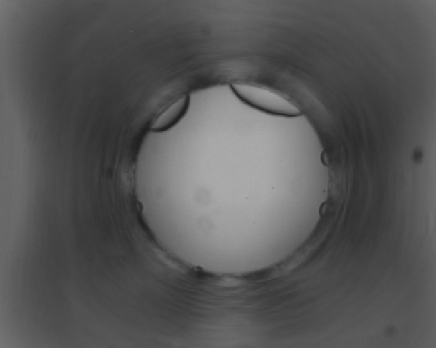 X0000095530718200712140934