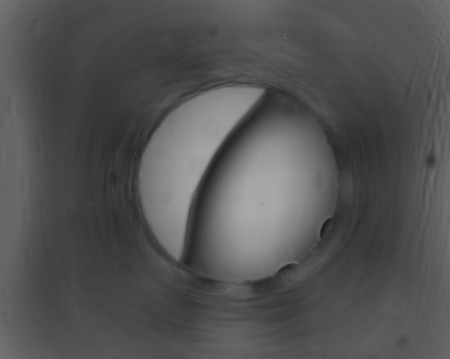 X0000095530719200712140934
