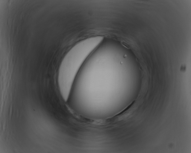 X0000095530720200712140934