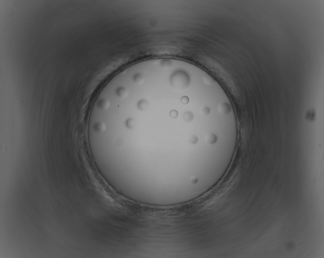 X0000095530721200712140933