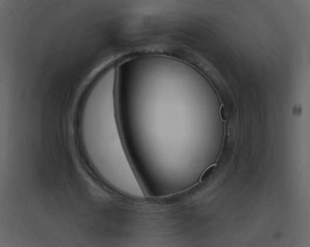 X0000095530722200712140933