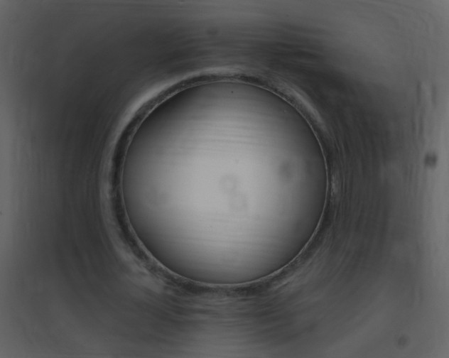 X0000095530724200712140933