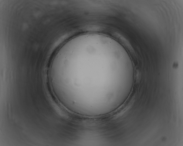 X0000095530725200712140933
