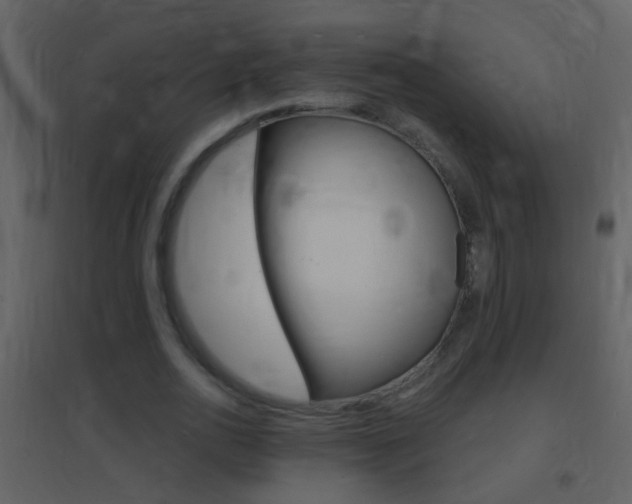 X0000095530726200712140933