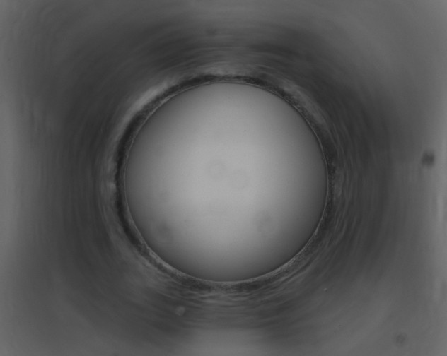 X0000095530727200712140933