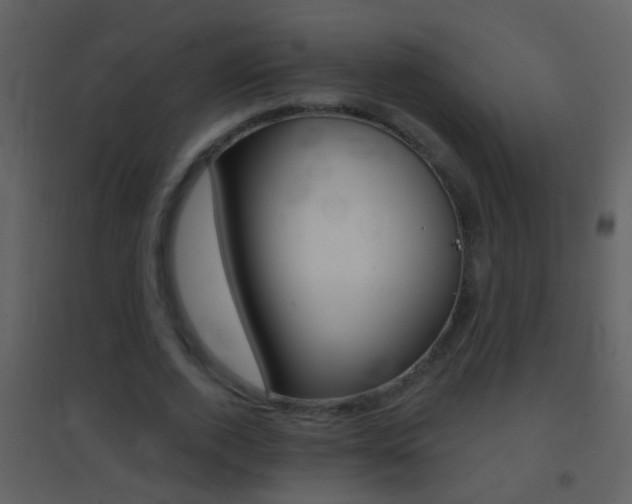 X0000095530728200712140933