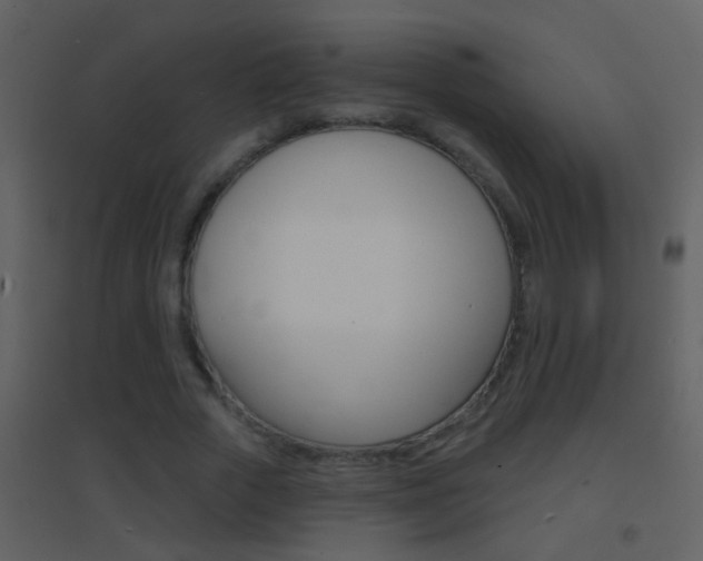 X0000095530729200712140933