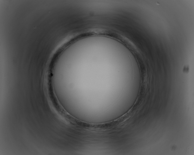 X0000095530730200712140933