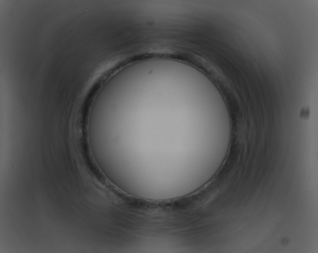 X0000095530731200712140933