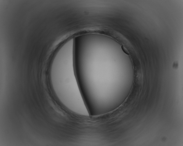 X0000095530732200712140933