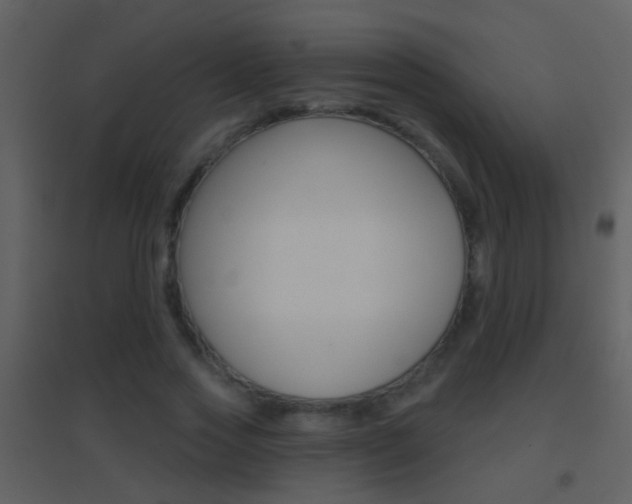 X0000095530733200712140933