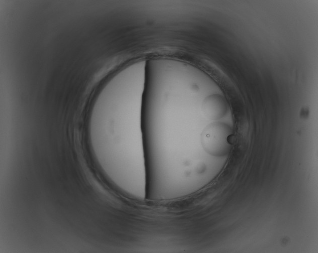 X0000095530734200712140933