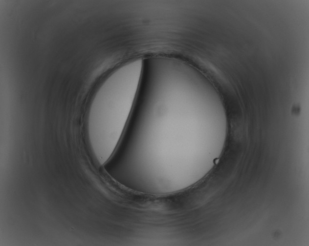 X0000095530735200712140933
