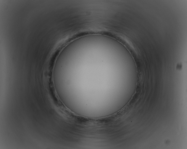 X0000095530736200712140933