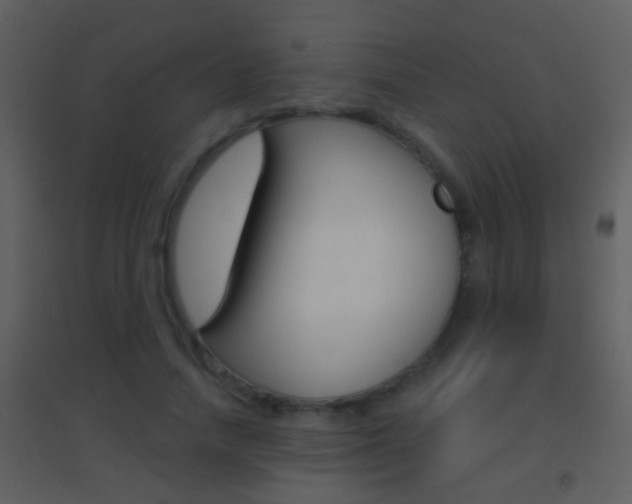 X0000095530738200712140934
