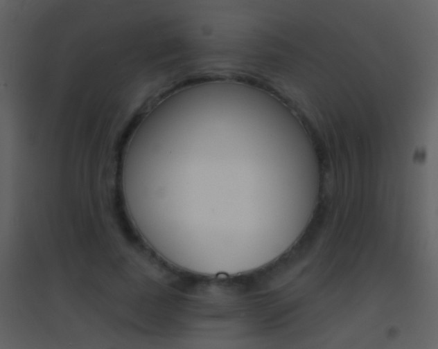 X0000095530739200712140934