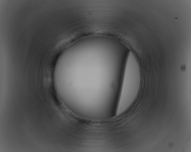 X0000095530740200712140934