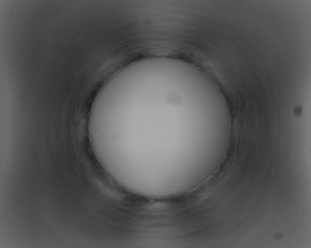 X0000095530741200712140934