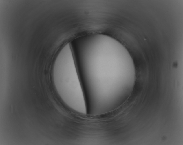 X0000095530742200712140934