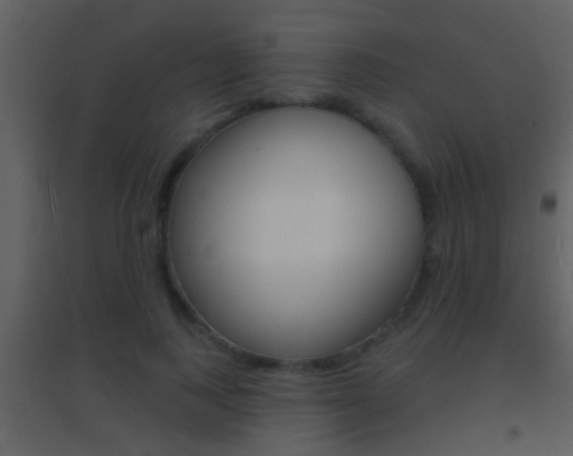 X0000095530743200712140934